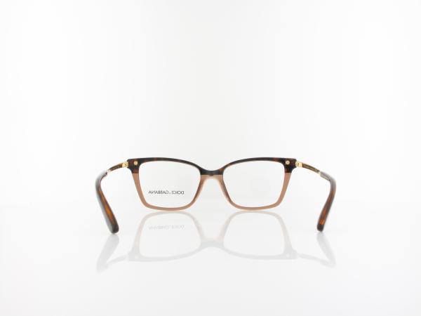 Dolce&Gabbana | DG3345 3256 50 | havana transparent brown