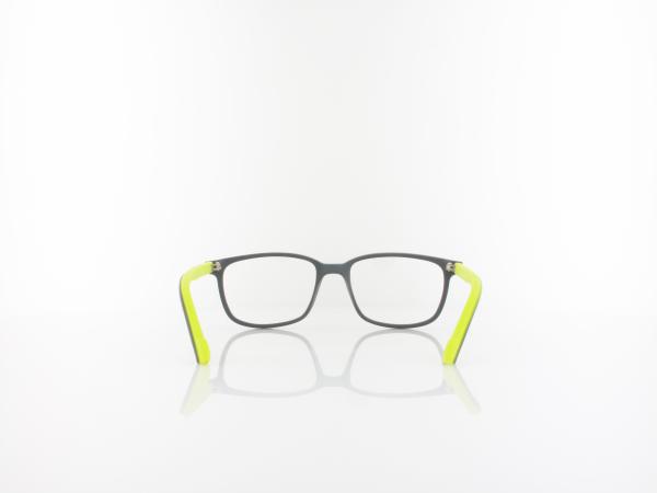 Brilando | OW II332 C93 49 | grey