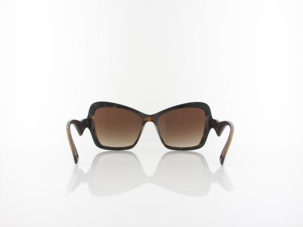 Dolce&Gabbana | DG6153 502/13 55 | havana / gradient brown