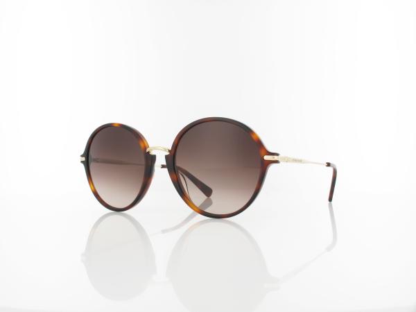 Longchamp |  LO645S 214 56 | havana / brown gradient