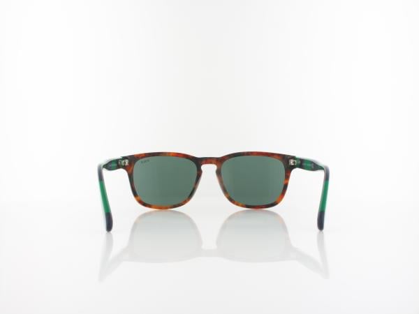 Polo Ralph Lauren | PH4170 501771 53 | shiny jerry tortoise / green
