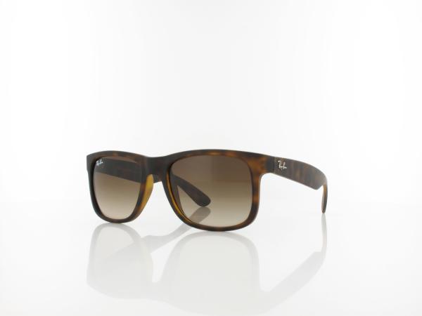 Ray ban wayfarer havana hotsell