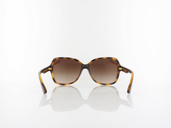 Armani Exchange | AX4029S 811713 57 | shiny havana / gradient brown