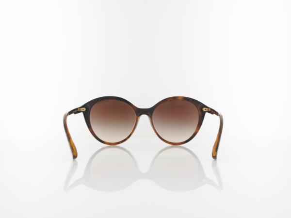 Armani Exchange | AX4134S 821313 55 | shiny havana / gradient brown