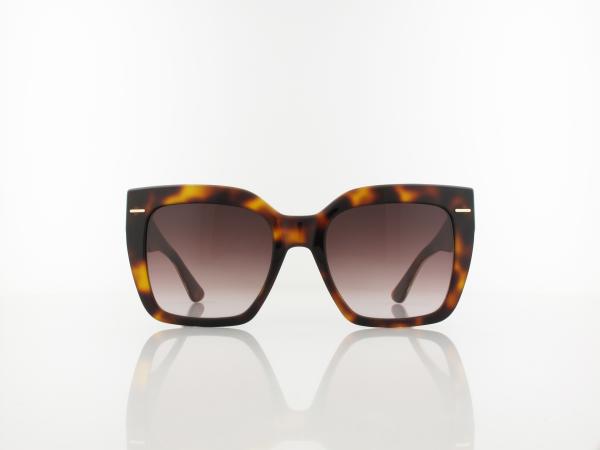Calvin Klein | CK23508S 220 54 | brown havana / brown gradient