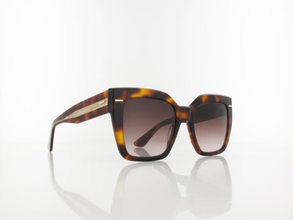 Calvin Klein | CK23508S 220 54 | brown havana / brown gradient