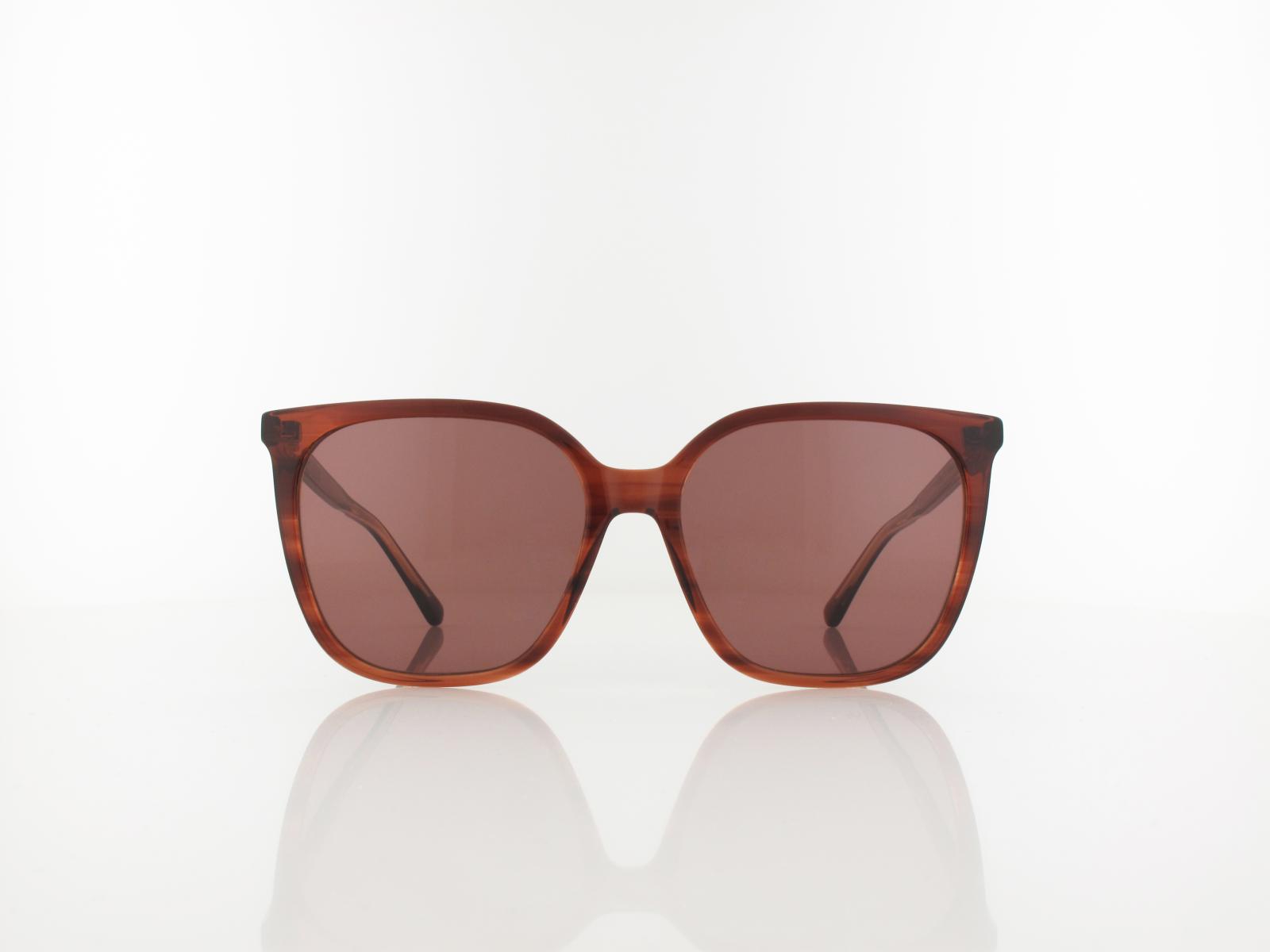 Calvin Klein | CK24509S 203 56 | striped brown/rose / brown