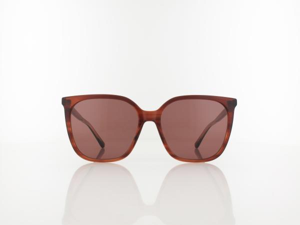 Calvin Klein | CK24509S 203 56 | striped brown/rose / brown