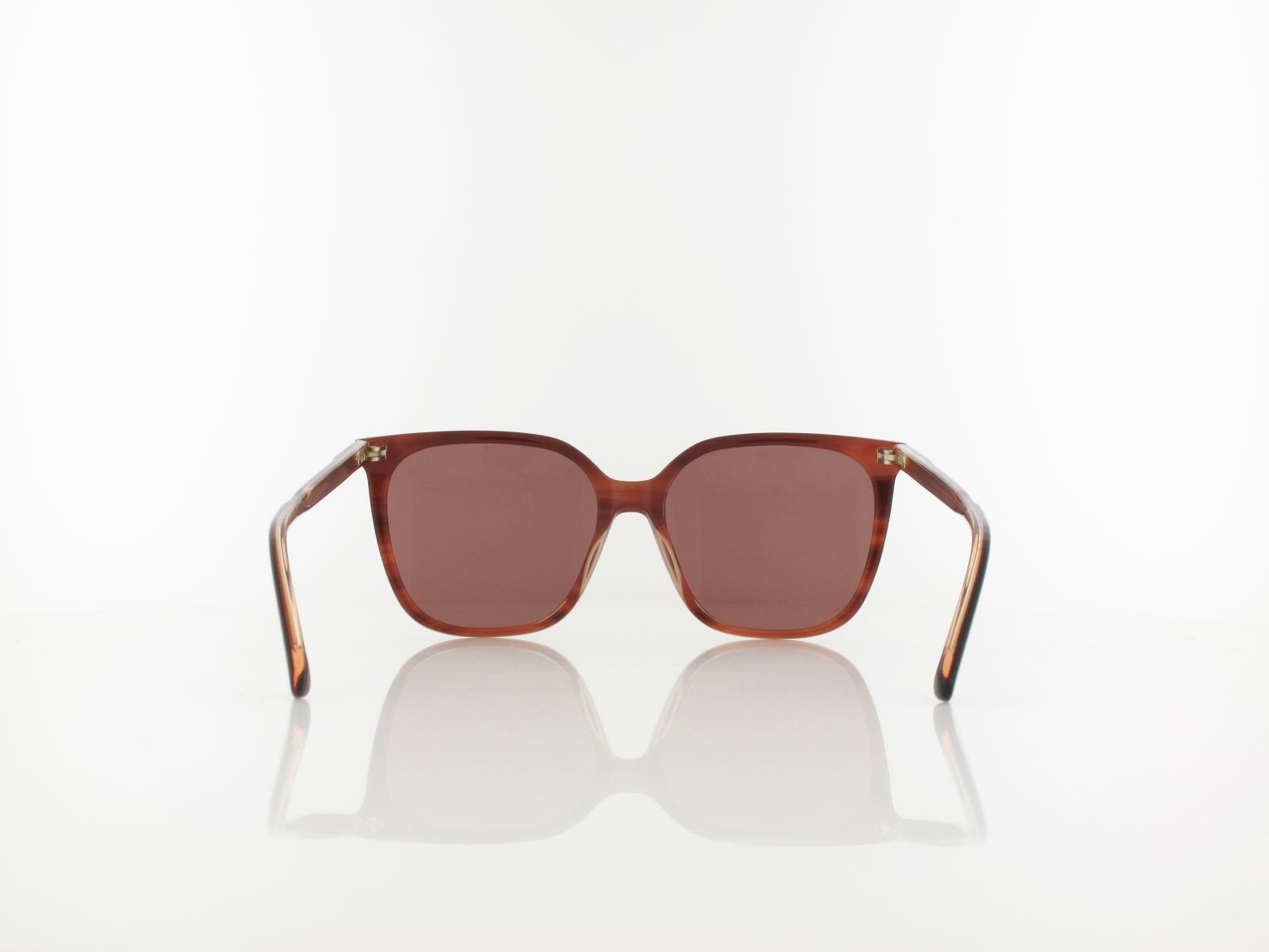Calvin Klein | CK24509S 203 56 | striped brown/rose / brown