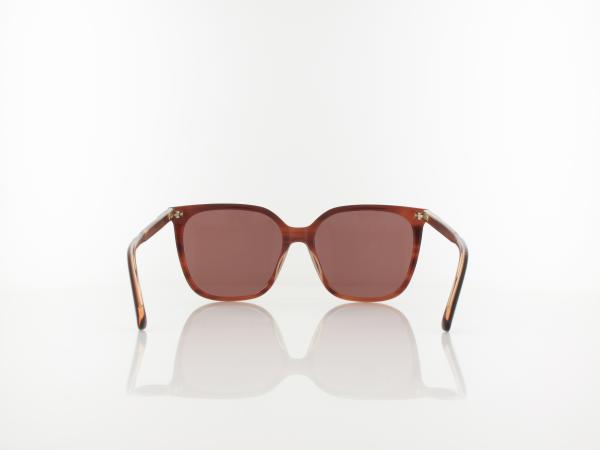 Calvin Klein | CK24509S 203 56 | striped brown/rose / brown
