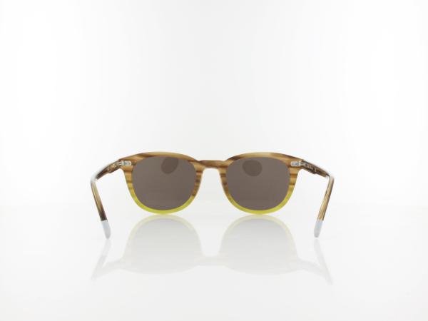 Calvin Klein | CK4358S 203 51 | striped brown yellow / brown