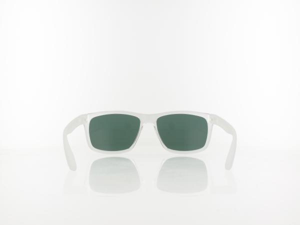 Nike | CHASER ASCENT DJ9918 900 59 | clear / green
