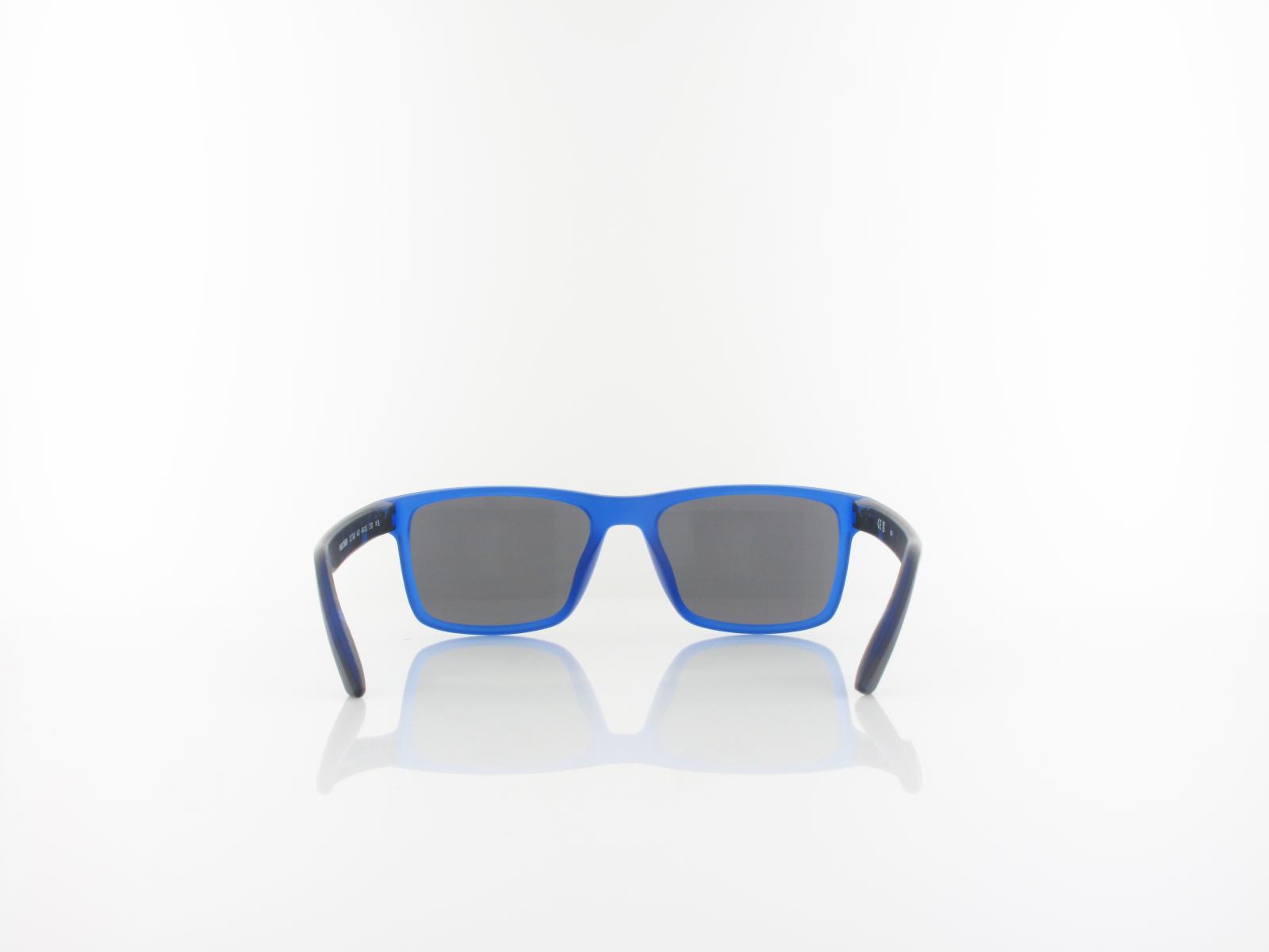 Nike | CHEER DZ7380 480 49 | matte game royal / silver mirror