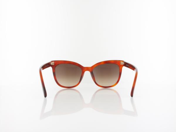 Fossil | FOS 2111/S 086/HA 53 | havana / brown shaded