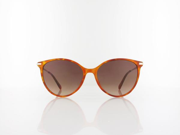 Fossil | FOS 2137/G/S 086/HA 58 | havana / brown shaded