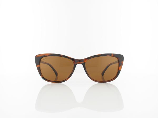 Brilando | MP42 B 54 | havana / brown