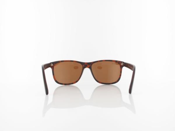Brilando | MP48 B 58 | matte havana / brown