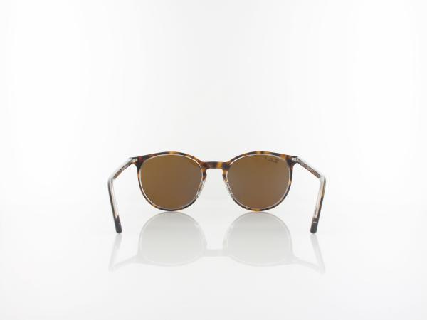 Ray Ban | RB2204 139357 51 | havana on transparent / polar brown