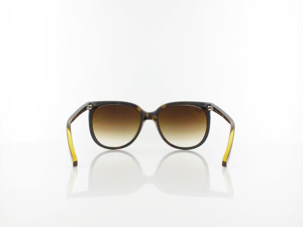 Ray Ban | Cats 1000 RB4126 710/51 57 | light havana / crystal brown gradient