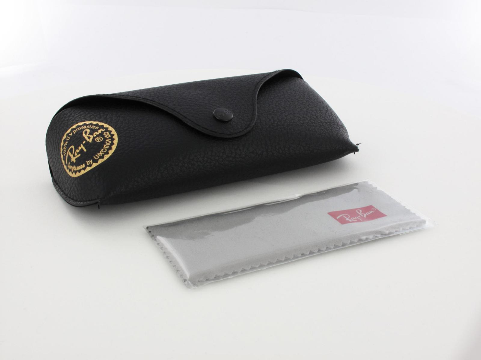Ray Ban | Erika RB4171 622/8G 54 | black rubber / grey gradient