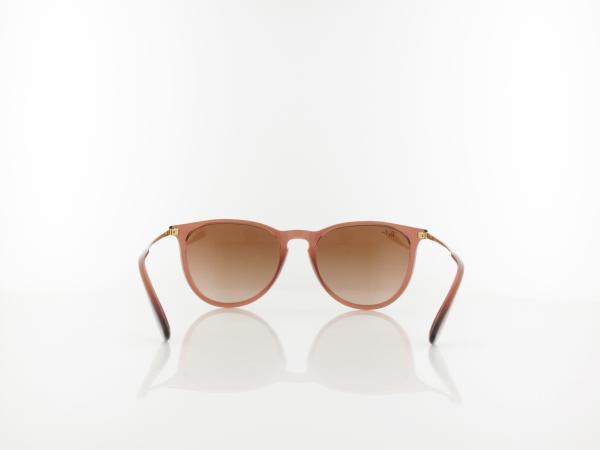 Ray Ban | Erika RB4171 659013 54 | transparent light brown / gradient brown