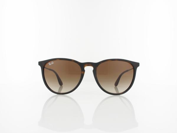 Ray Ban | Erika RB4171 865/13 54 | rubberized havana / brown gradient