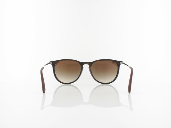 Ray Ban | Erika RB4171 865/13 54 | rubberized havana / brown gradient