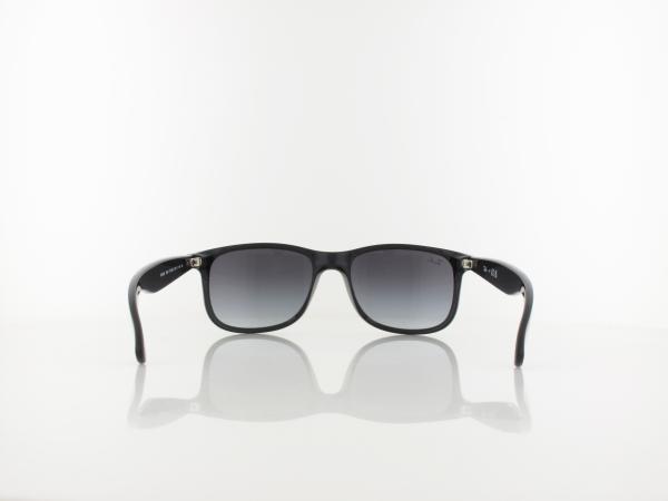 Ray Ban | Andy RB4202 6018G 55 | black / grey gradient