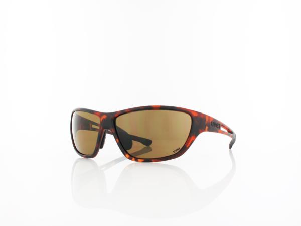 UVEX | RXd 4003 5400 9002 60 | havanna / brown