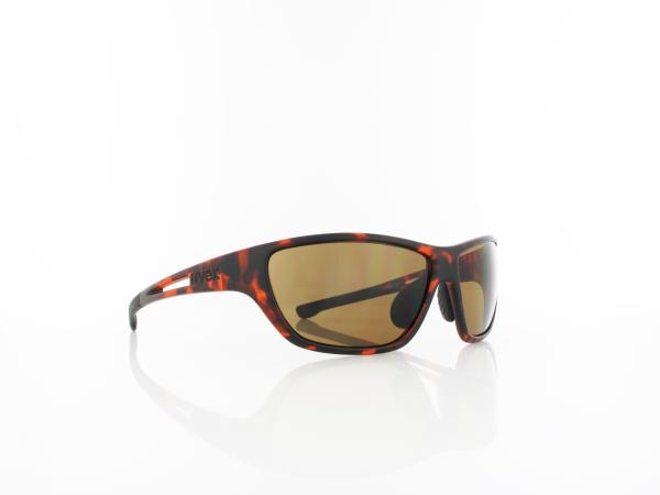 UVEX | RXd 4003 5400 9002 60 | havanna / brown