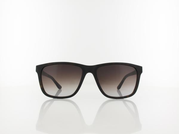 Wood Fellas | Focus Wood Acetate 11716 6868 56 | curled havana / brown gradient