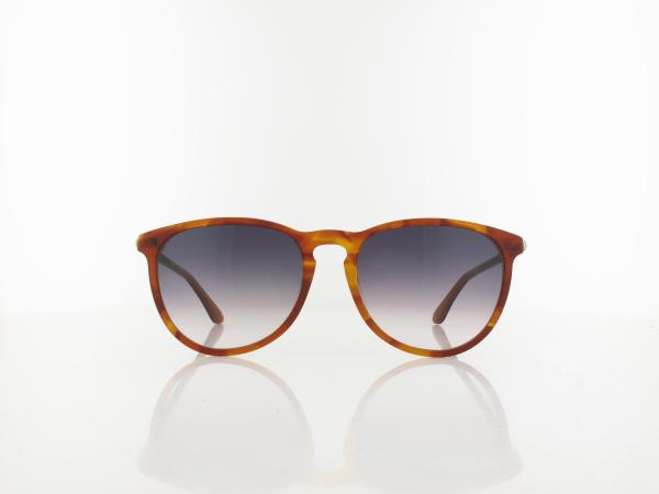 Wood Fellas | JORD Wood Acetate 11733 7413 54 | walnut havana / grey gradient