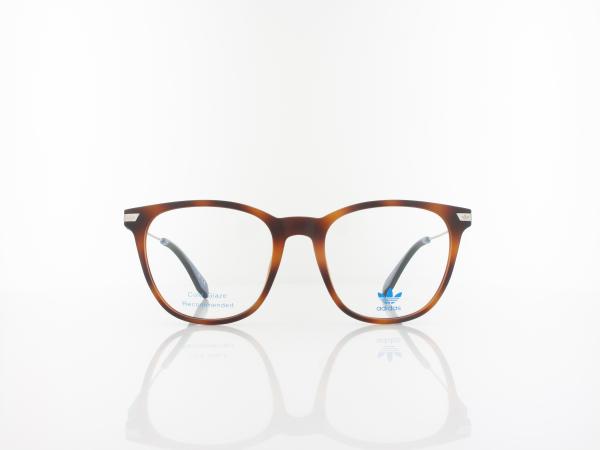 Adidas | OR5031 053 52 | blonde havana