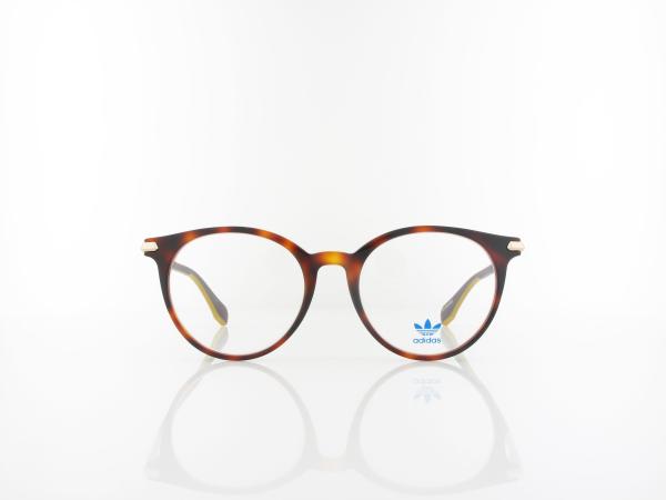 Adidas | OR5073 052 51 | dark havana