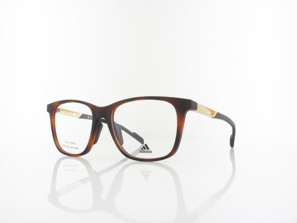 Adidas | SP5012 052 55 | dark havana/golden aluminium