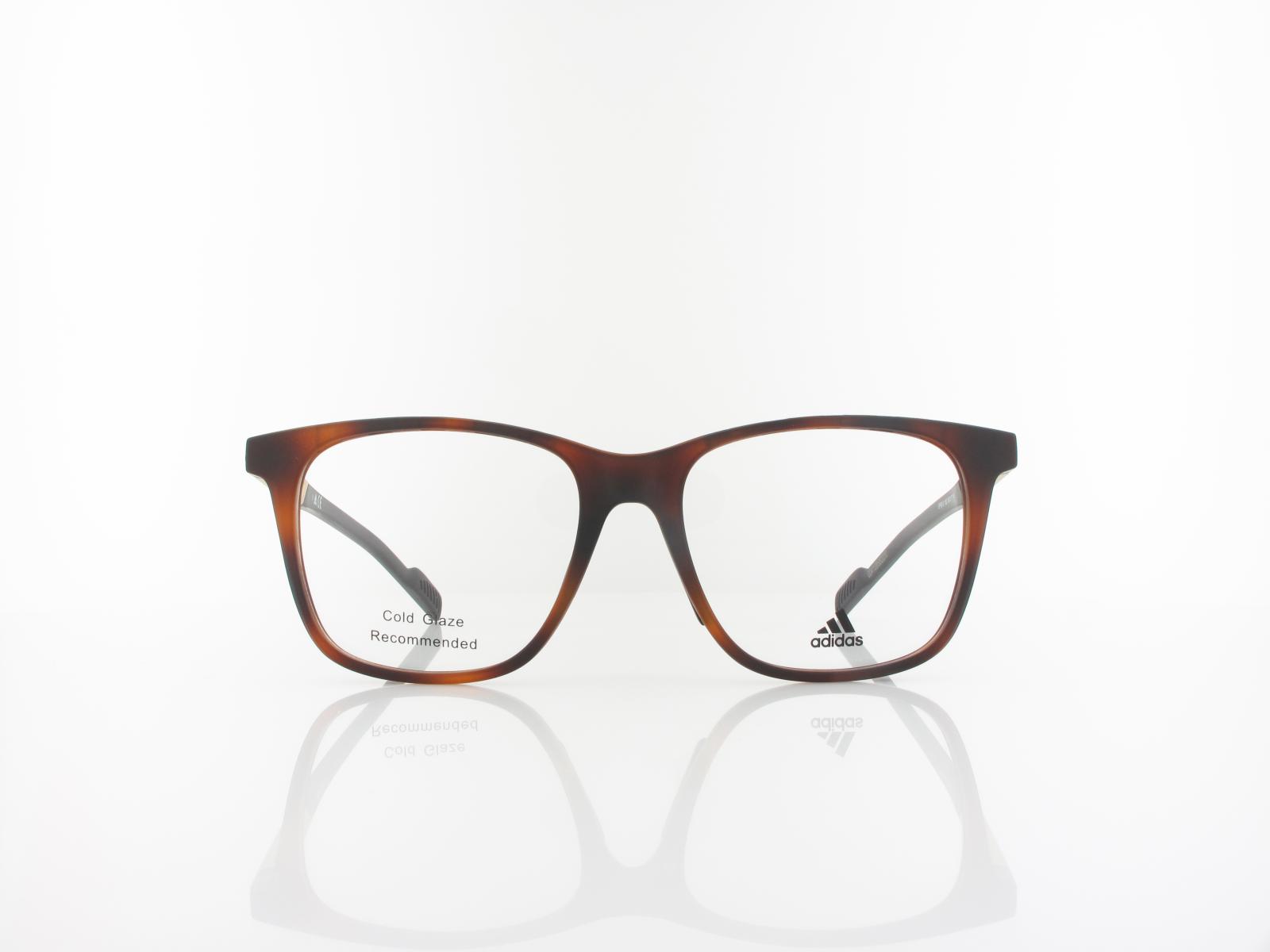 Adidas | SP5012 052 55 | dark havana/golden aluminium