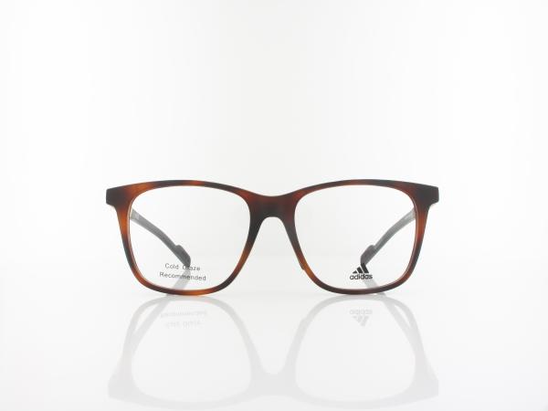 Adidas | SP5012 052 55 | dark havana/golden aluminium