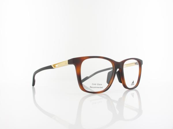 Adidas | SP5012 052 55 | dark havana/golden aluminium