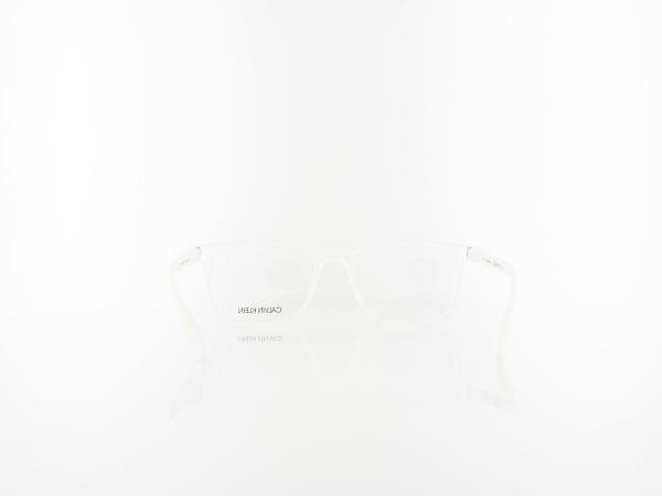 Calvin Klein | CK19573 971 54 | matte crystal