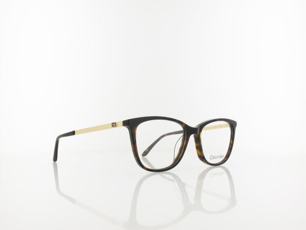 Calvin Klein | CK21701 235 51 | dark tortoise