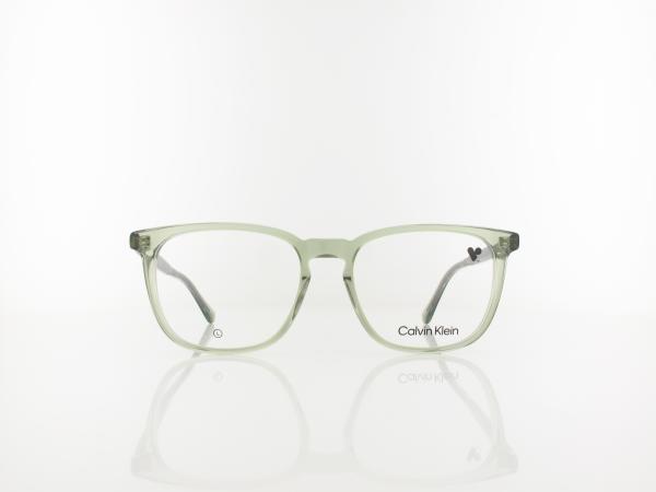 Calvin Klein | CK24519 300 53 | green