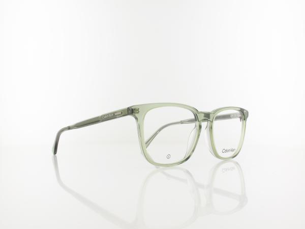 Calvin Klein | CK24519 300 53 | green