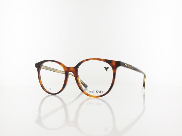 Calvin Klein | CK24543 240 52 | havana