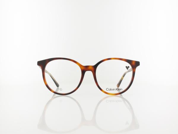 Calvin Klein | CK24543 240 52 | havana