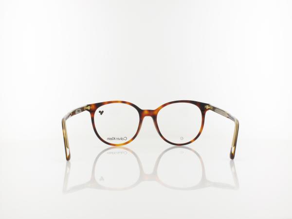 Calvin Klein | CK24543 240 52 | havana
