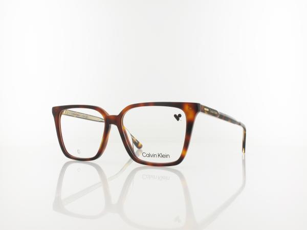 Calvin Klein | CK24544 240 55 | havana