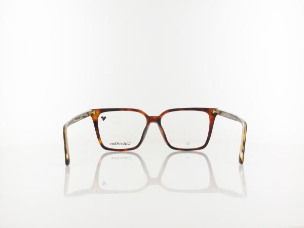 Calvin Klein | CK24544 240 55 | havana