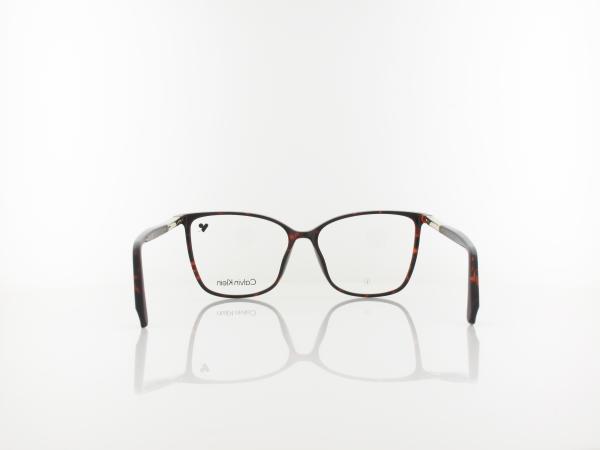 Calvin Klein | CK24545 235 56 | dark havana