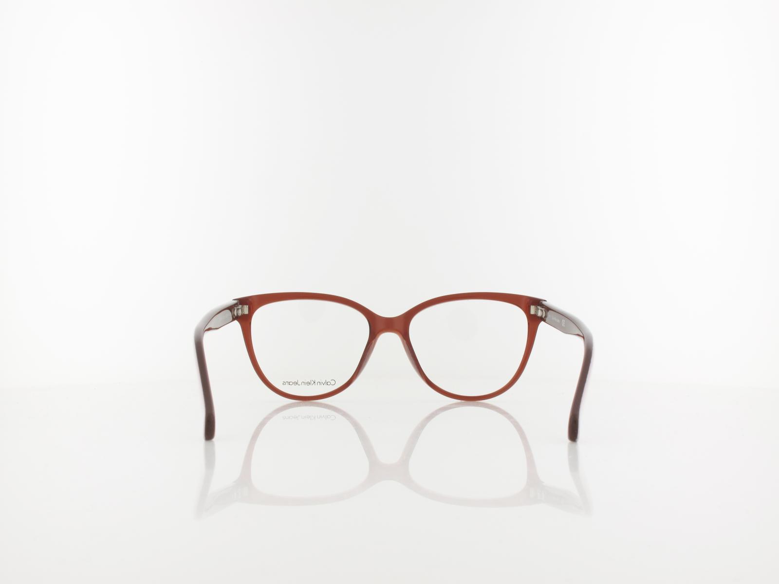 Calvin Klein | CKJ21613 210 53 | brown
