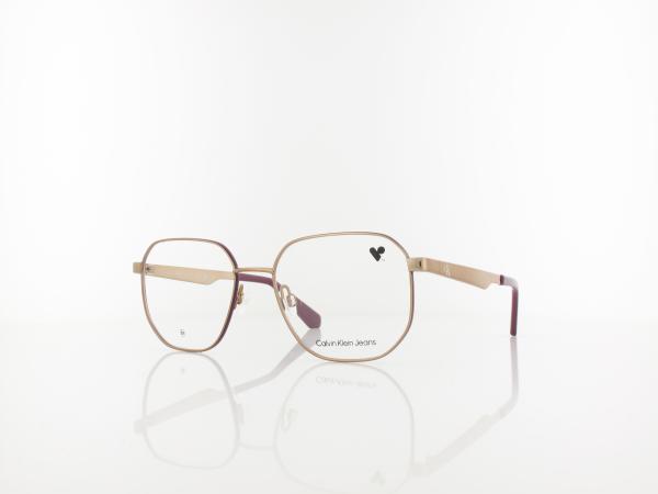 Calvin Klein | CKJ23222 704 53 | amber gold purple